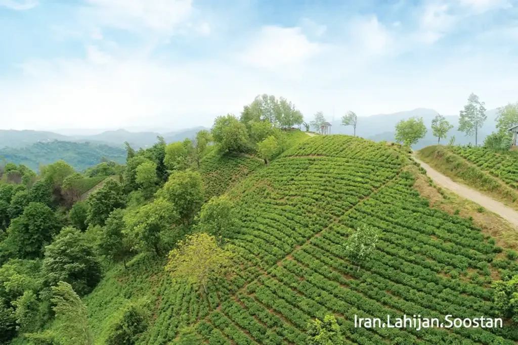 soostan،lahijan